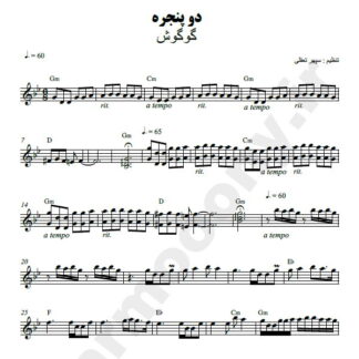 نت کیبورد دو پنجره گوگوش