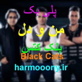 پلی بک من و دل بلک کتس