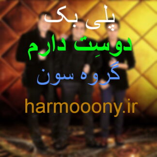پلی بک دوست دارم گروه سون