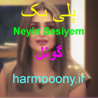 پلی بک نییم سسیم گونل