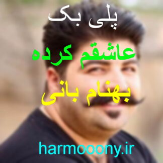 پلی بک عاشقم کرده بهنام بانی