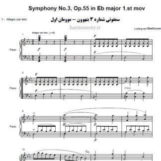 سمفونی شماره 3 موومان اول بتهوون,Symphony No.3 In Eb minor Op.55 1st movemen