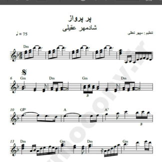 نت کیبورد پر پرواز شادمهر عقیلی