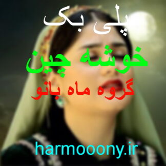 پلی بک آهنگ خوشه چین از گروه ماه بانو و سالار عقیلی