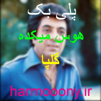 پلی بک هوس میکده گلپا