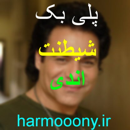 پلی بک آهنگ شیطنت از اندی
