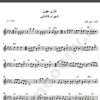 نت کیبورد آهنگ نازی جون از شهرام کاشانی,نت آهنگ نازی جون شهرام کاشانی برای کیبورد