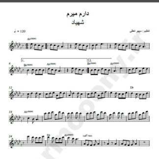 نت کیبورد آهنگ دارم میرم از شهیاد,نت آهنگ دارم میرم شهیاد برای کیبورد