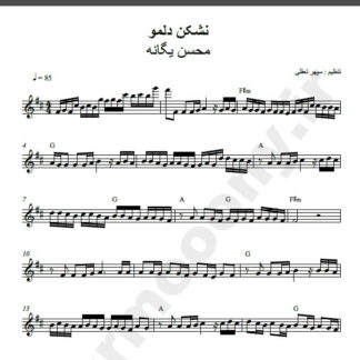 نت کیبورد نشکن دلمو محسن یگانه