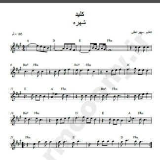 نت کیبورد کلید شهره