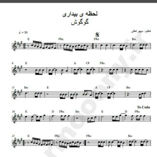 نت شماره WNK1772