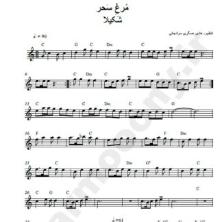 نت کیبورد مرغ سحر