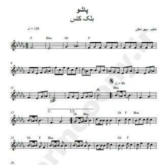 نت کیبورد پاشو بلک کتس