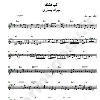 نت کیبورد لب تشنه جواد یساری