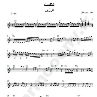 نت کیبورد شکست فرزین