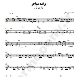 نت کیبورد پرنده مهاجر داریوش