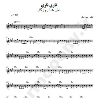 نت کیبورد ناری ناری علیرضا روزگار