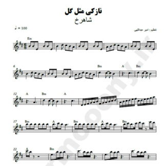 نت کیبورد نازکی مثل گل شاهرخ