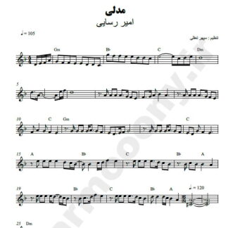 نت کیبورد مدلی امیر رسایی