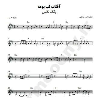 نت کیبورد آفتاب لب بومه بلک کتس