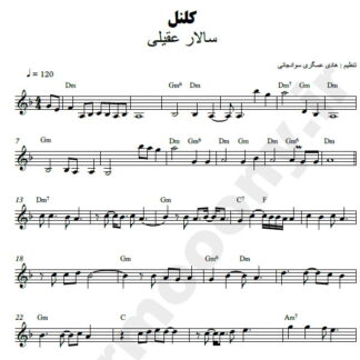 نت کیبورد کلنل سالار عقیلی