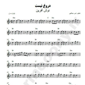 نت کیبورد دروغ نیست نوش آفرین