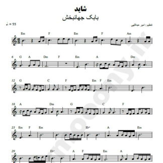 نت کیبورد شاید بابک جهانبخش