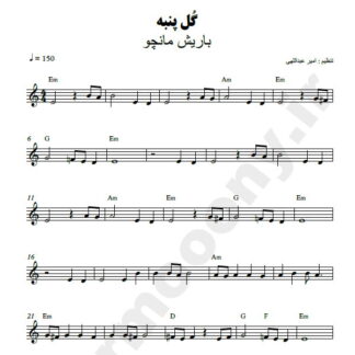 نت کیبورد گل پنبه باریش مانچو
