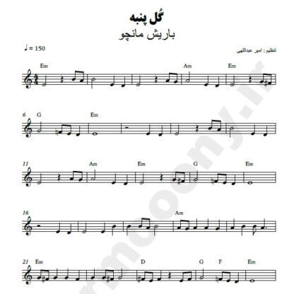نت کیبورد گل پنبه باریش مانچو