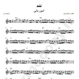 نت کیبورد نشد امین بانی