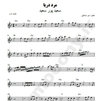 نت کیبورد مرد دریا سعید پور سعید