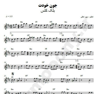 نت کیبورد جون خودت بلک کتس