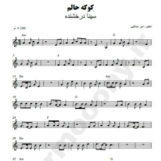 نت کیبورد کوکه حالم سینا درخشنده