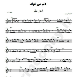 نت کیبورد دلم میخواد امیر تتلو