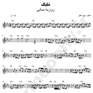 نت کیبورد شلیک روزبه بمانی