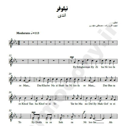 پارتیتور نیلوفر اندی