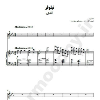 پارتیتور نیلوفر اندی