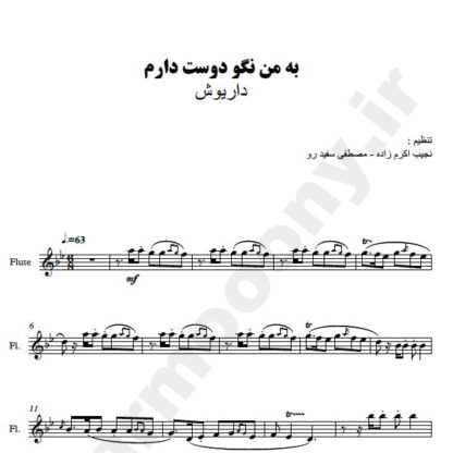 پارتیتور به من نگو دوست دارم داریوش