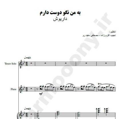 پارتیتور به من نگو دوست دارم داریوش