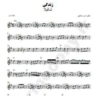 نت کیبورد زندگی شکیلا