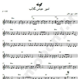 نت کیبورد گونه امیر عباس گلاب