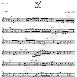 نت کیبورد گریه هایده