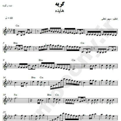 نت کیبورد گریه هایده
