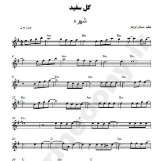 نت کیبورد گل سفید شهره
