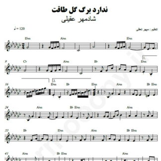نت کیبورد ندارد برگ گل طاقت شادمهر عقیلی
