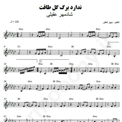 نت کیبورد ندارد برگ گل طاقت شادمهر عقیلی