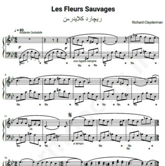 نت پیانو Richard Clayderman   Les Fleurs Sauvages wild flowers