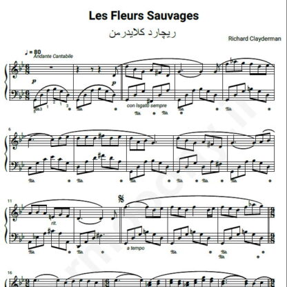 نت پیانو Richard Clayderman   Les Fleurs Sauvages wild flowers