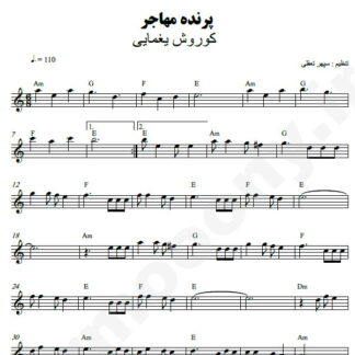 نت کیبورد پرنده مهاجر کوروش یغمایی