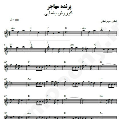 نت کیبورد پرنده مهاجر کوروش یغمایی